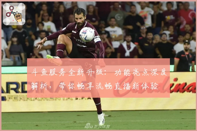 斗鱼服务全新升级：功能亮点深度解析，带你畅享流畅直播新体验