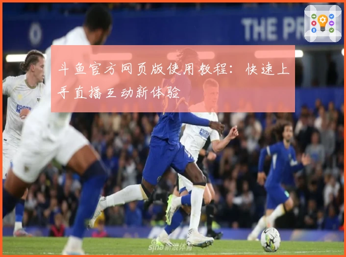 斗鱼官方网页版使用教程：快速上手直播互动新体验