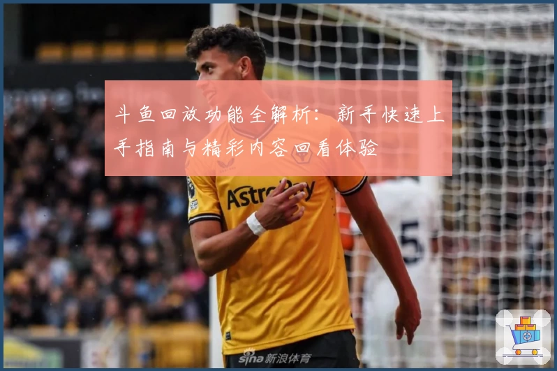 斗鱼回放功能全解析：新手快速上手指南与精彩内容回看体验