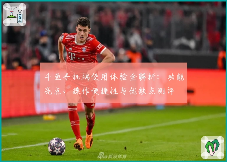 斗鱼手机端使用体验全解析:功能亮点、操作便捷性与优缺点测评