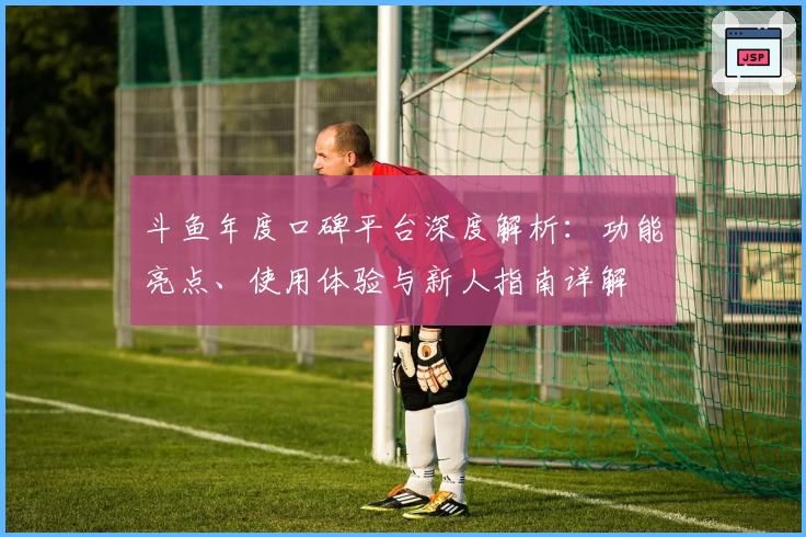 斗鱼年度口碑平台深度解析：功能亮点、使用体验与新人指南详解