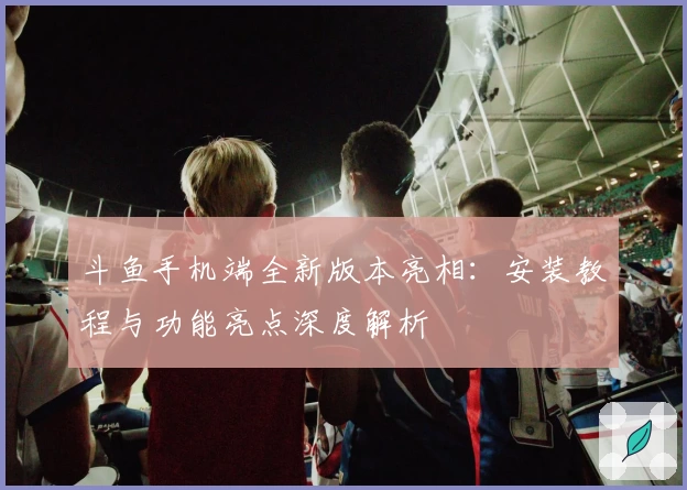 斗鱼手机端全新版本亮相：安装教程与功能亮点深度解析