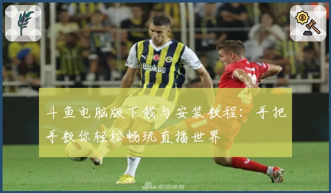 斗鱼电脑版下载与安装教程：手把手教你轻松畅玩直播世界