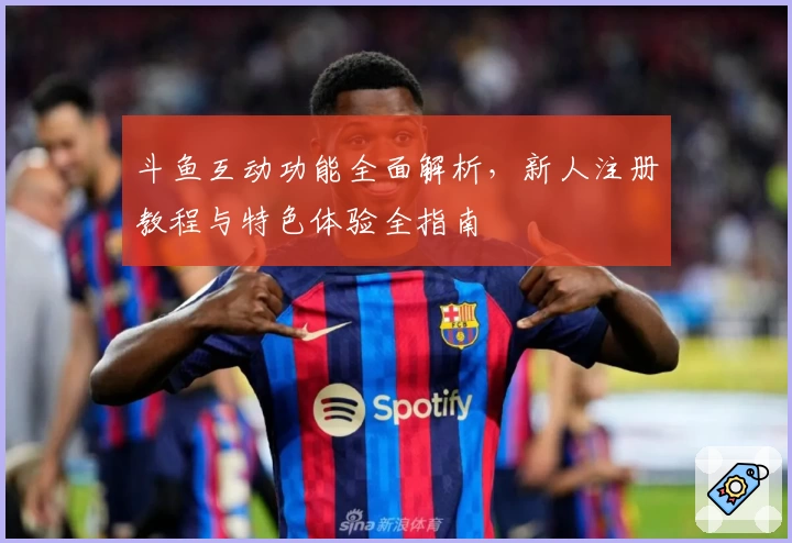 斗鱼互动功能全面解析，新人注册教程与特色体验全指南